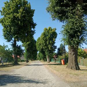 Urokliwa, kamienna droga w Kursku