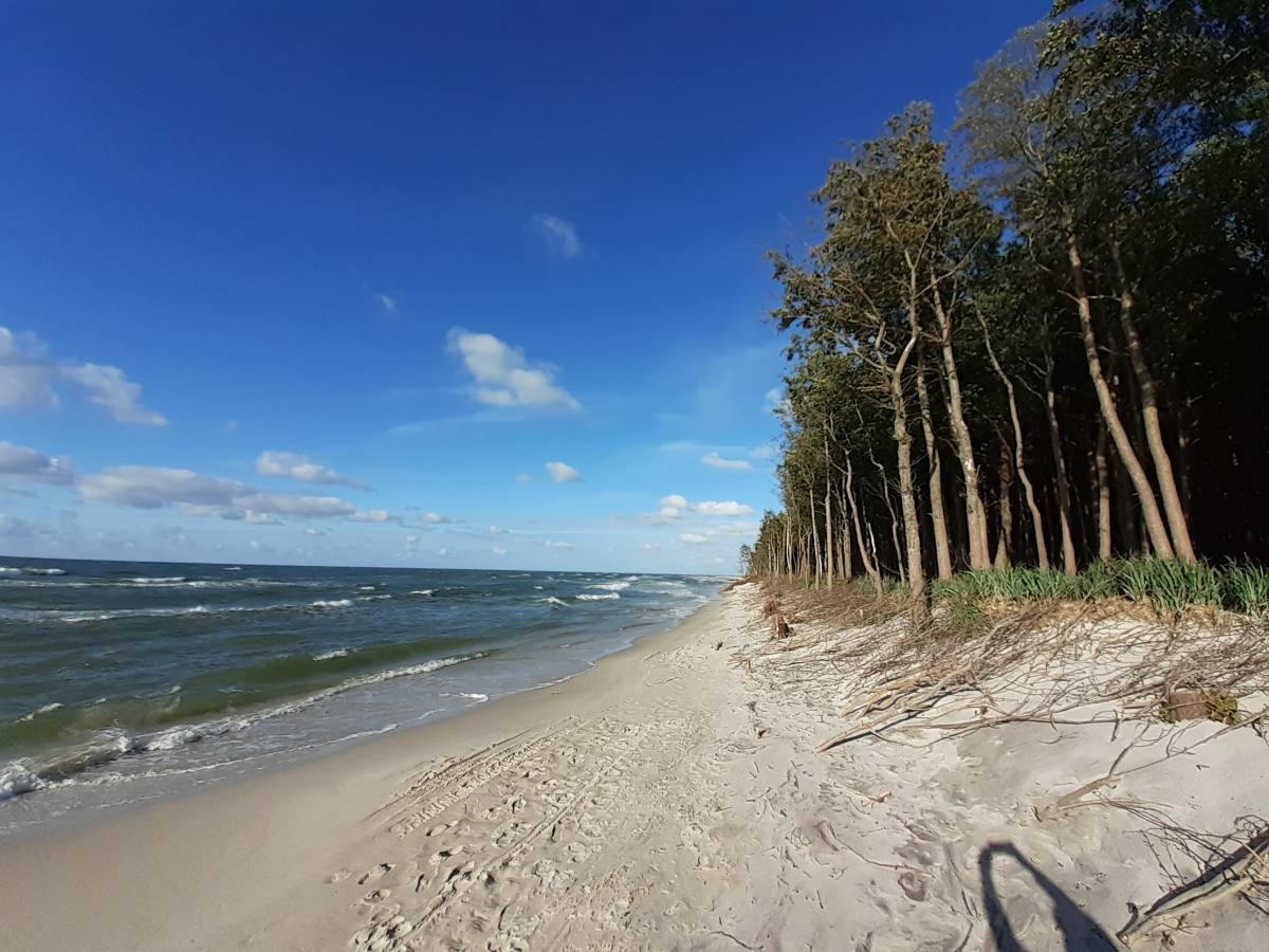 Dzikie plaże nad Bałtykim w Polsce - 20220717 182430