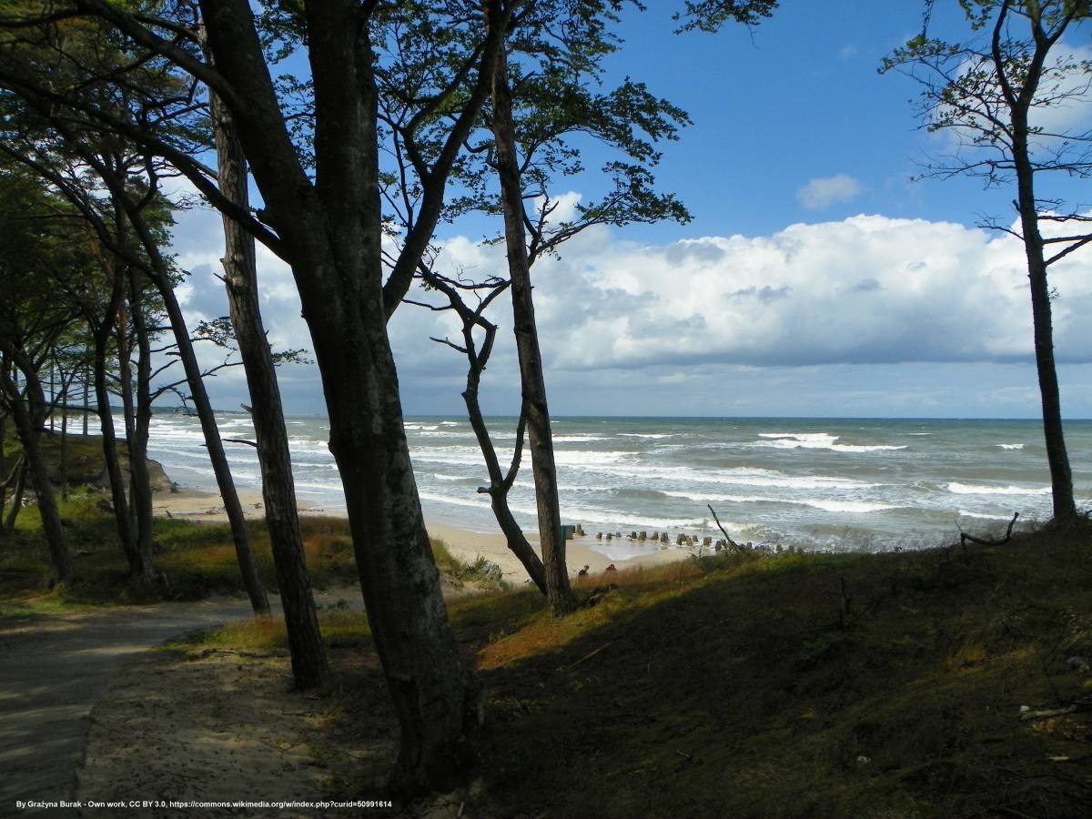 Dzikie plaże nad Bałtykim w Polsce - orzechowo 2015 07 09 03