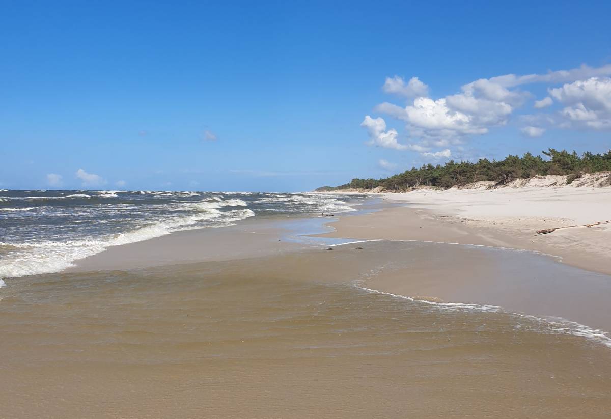 Dzikie plaże nad Bałtykim w Polsce - plaza osetnik stilo 6