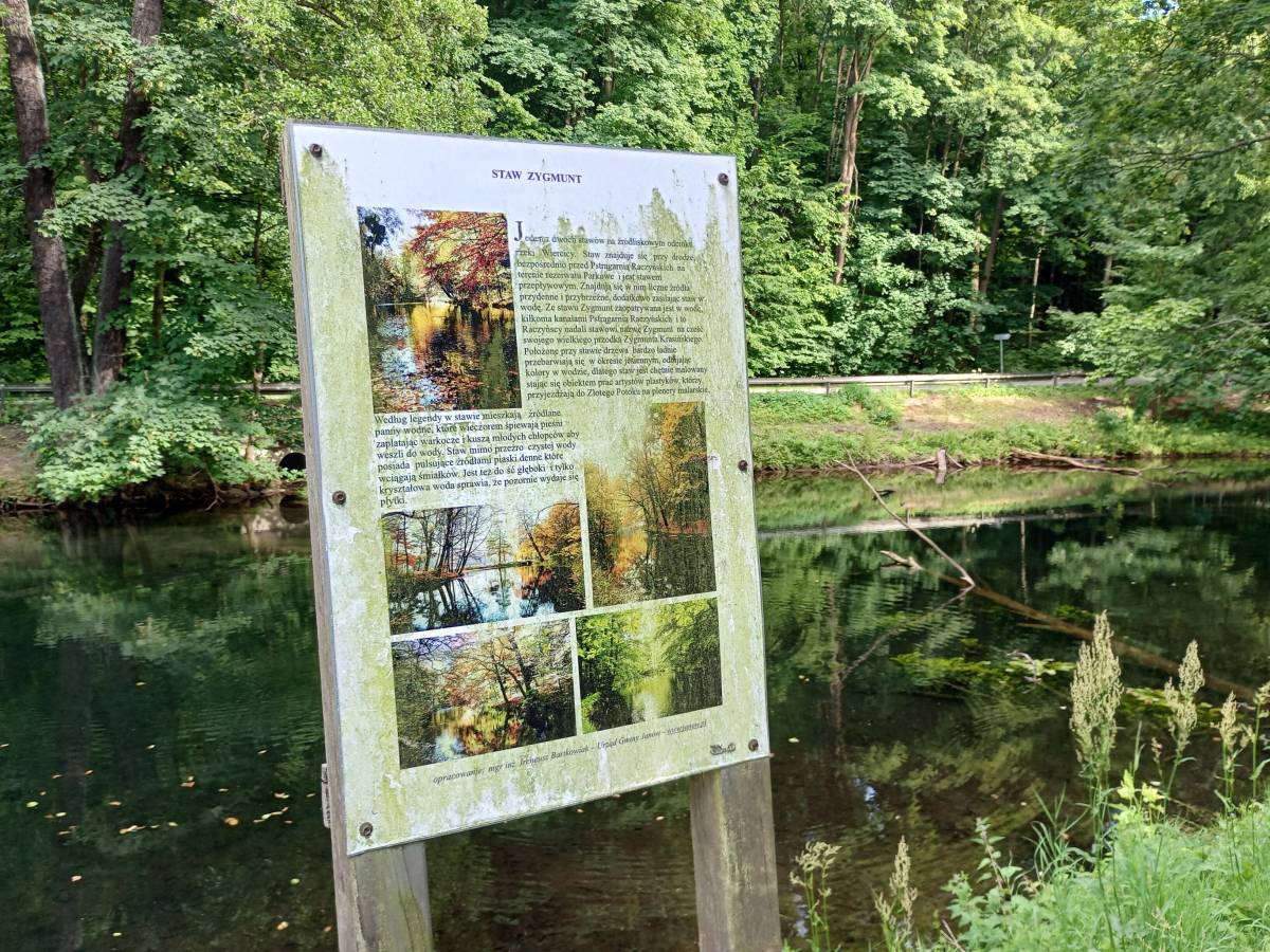 Spacer w dolinie Wiercicy – odkryj przyrodnicze i historyczne skarby Złotego Potoku - staw zygmunt w zlotym potoku 2