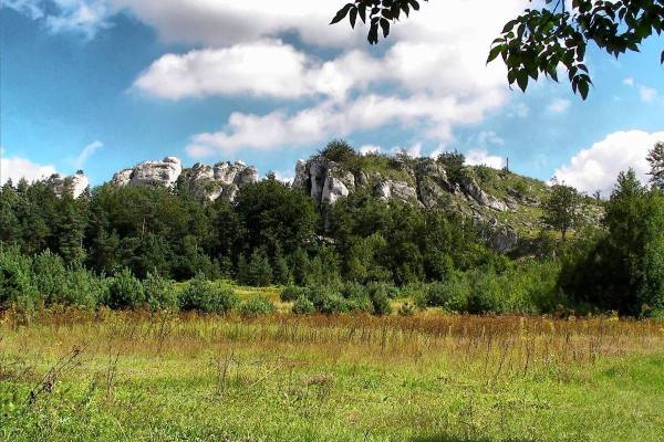 Wędrówka po Górze Zborów - gora zborow gora berkowa panoramio