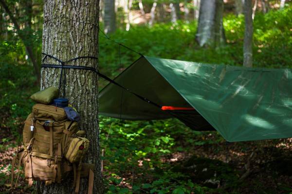 Jak przygotować się do pierwszej wyprawy survivalowej: niezbędne wyposażenie i porady dla początkujących - outdoor 3681924 1280