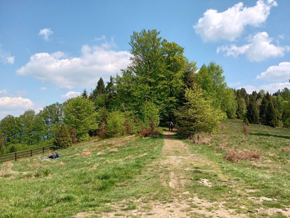 Orłowa - trasy, parkingi, dojazd, atrakcje - punkt widokowy pod orlowa 22