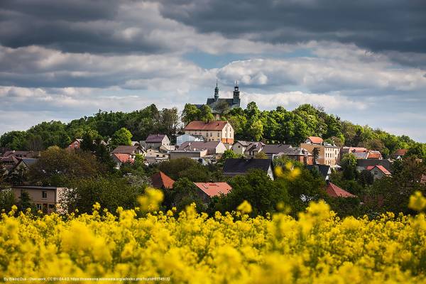 Góra Świętej Anny - atrakcje turystyczne, co warto zwiedzić? - widok na gore sw anny