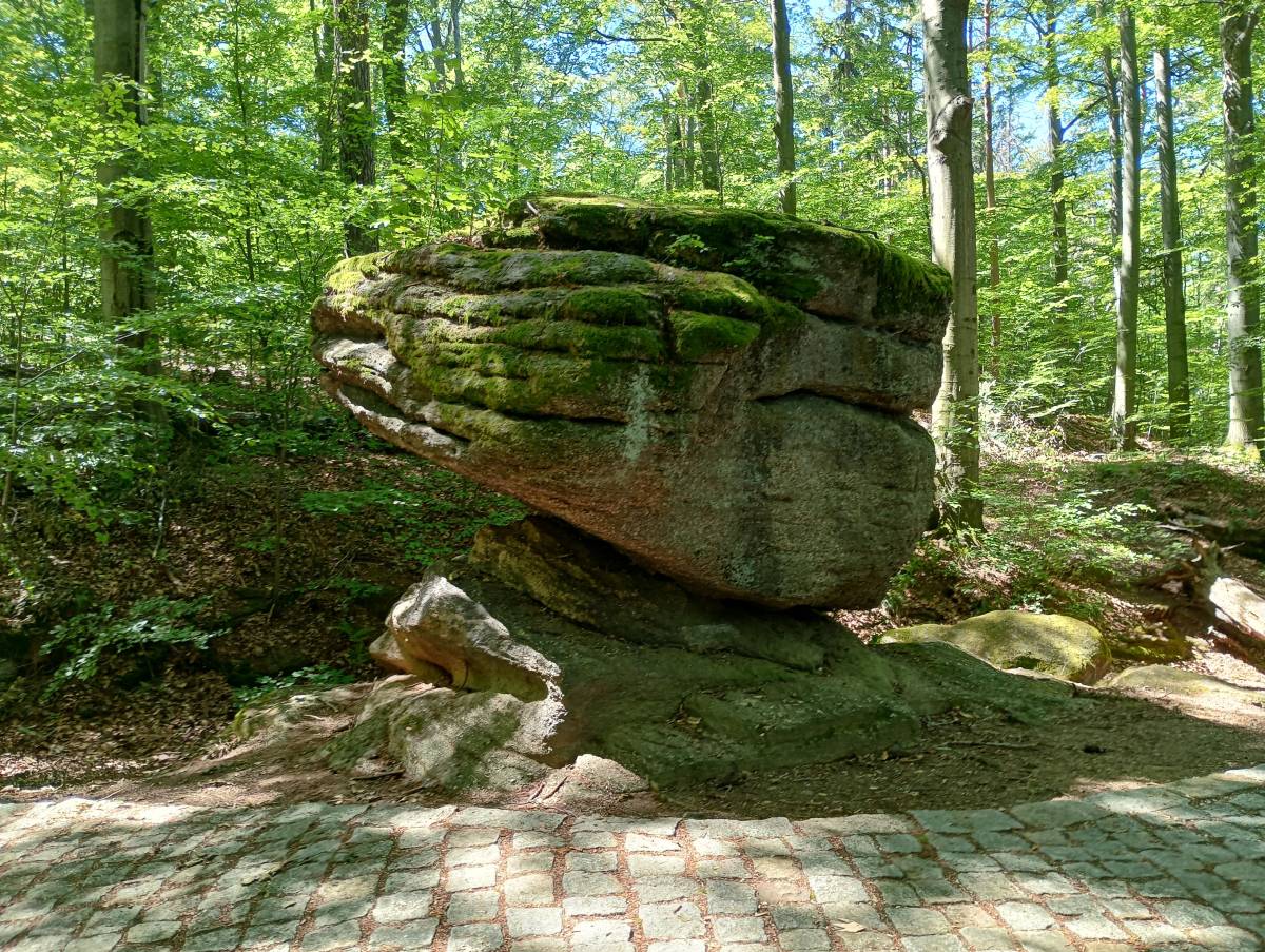 Wycieczka na Zamek Chojnik z Sobieszowa - mapa, czas wejścia i parking - skalny grzyb na zboczu chojnika 13