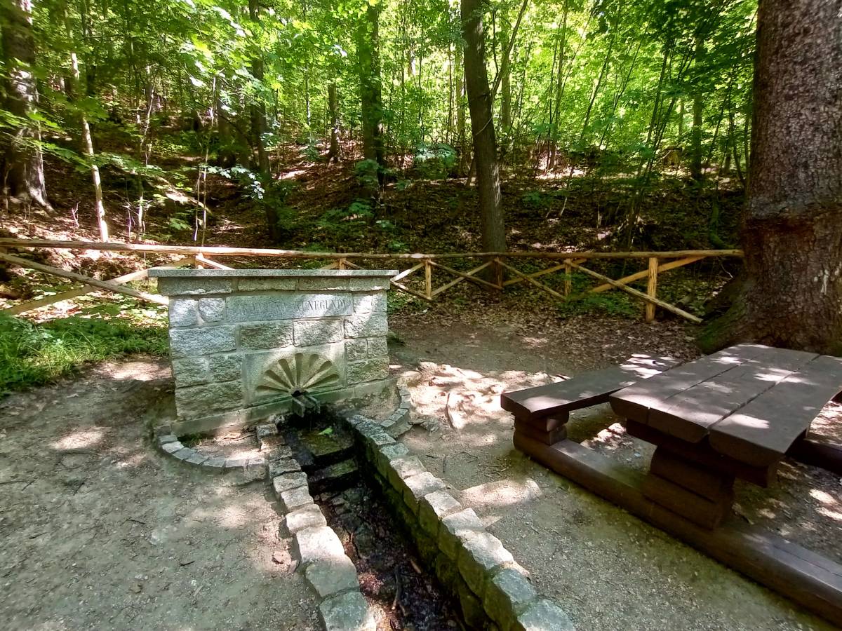 Wycieczka na Zamek Chojnik z Sobieszowa - mapa, czas wejścia i parking - zrodlo kunegundy pod chojnikiem 7