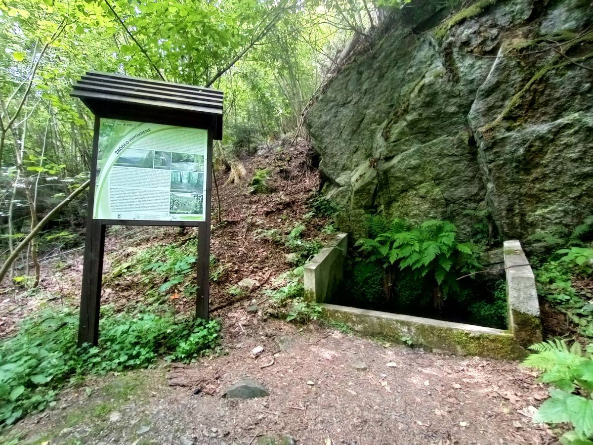 Borowy Jar koło Jeleniej Góry - mapa, czas wejścia i parking - zrodlo hipokrene w borowym jarze 15