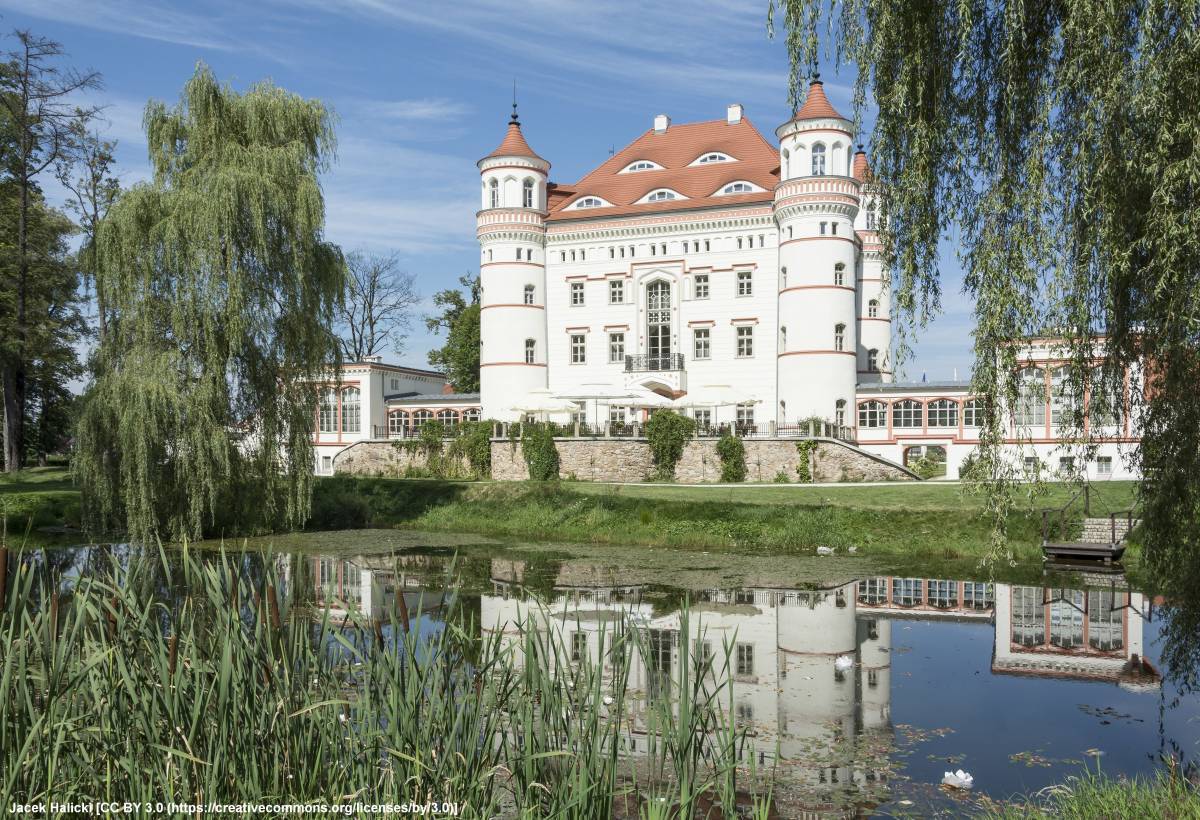 Dolina Pałaców i Ogrodów - 2016 palac w wojanowie 3