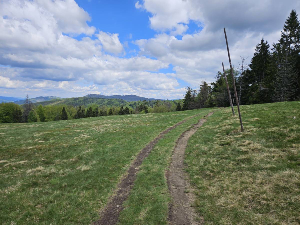 Czerwony szlak z Przełęczy Przegibek na Wielką Raczę: mapa, opis - panorama widokowa z hali srubita