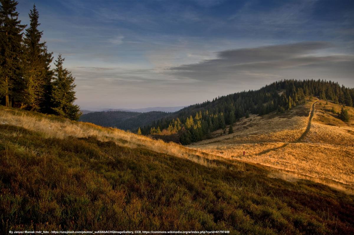 Niebieski szlak na Przełęcz Przegibek z Bacówki PTTK na Rycerzowej: mapa, opis - bacowka pttk na rycerzowej sunset unsplash