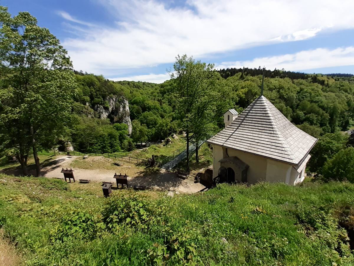 Widok na Dolinę Prądnika z Zamku w Ojcowie
