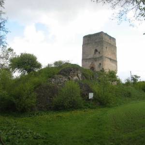 Zamek w Tudorowie - img 0449