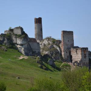 Zamek Olsztyn k. Częstochowy - dsc 2283