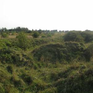 Ruiny zamku w Koziegłowach - img 4723