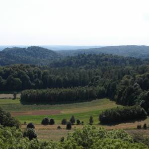 Zamek Smoleń - sam 6181