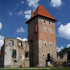 Zamek Chudów - chudow 2006 zamek 02