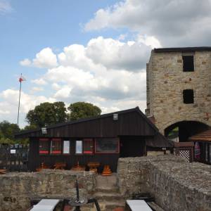 Zamek w Dobczycach - dsc 3101