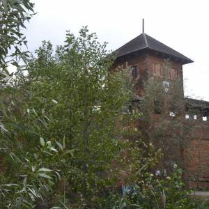 Średniowieczny Gród w Biskupicach koło Byczyny - dsc 5068