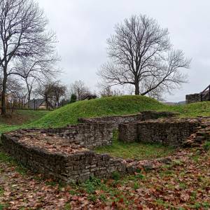 Ruiny zamku w Sławkowie - ruiny zamku w slawkowie 20
