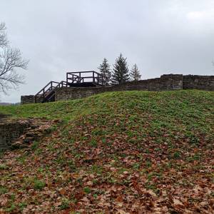 Ruiny zamku w Sławkowie - ruiny zamku w slawkowie 21