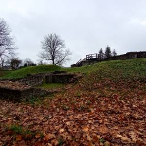 Ruiny zamku w Sławkowie - ruiny zamku w slawkowie 22