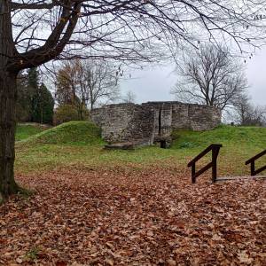 Ruiny zamku w Sławkowie - ruiny zamku w slawkowie 23