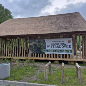 Grodzisko w Stradowie - grodzisko w stradowie 3