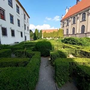 Zamek Piastów Śląskich w Brzegu - zamek piastow slaskich w brzegu 22