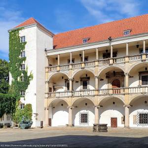 Zamek Piastów Śląskich w Brzegu - zamek piastow slaskich w brzegu w