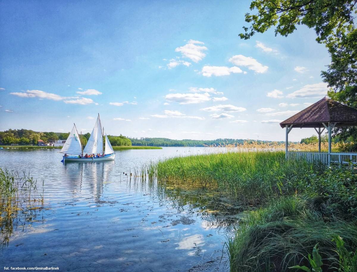 Jezioro Barlineckie - jezioro barlineckie 5