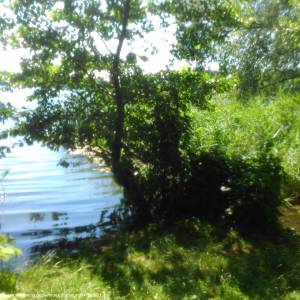 Jezioro Barlineckie - jezioro barlineckie 11