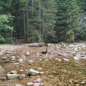 Dziki Wodospad na Łomnicy w Karpaczu - dziki wodospad na lomnicy w karpaczu 7