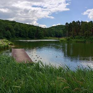 Staw "Amerykan" w Złotym Potoku - staw amerykan w zlotym potoku 16