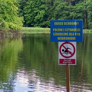 Staw "Sen Nocy Letniej" w Złotym Potoku - staw sen nocy letniej 13