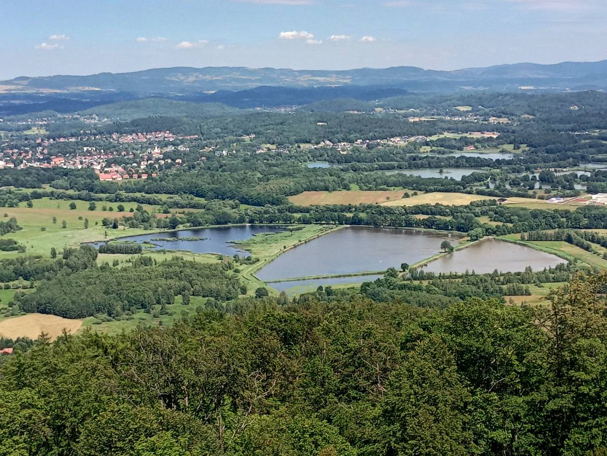 Stawy Podgórzyńskie - stawy podgorzynskie