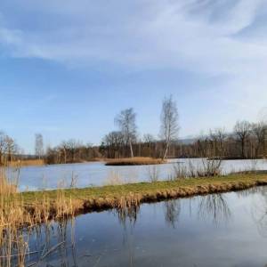 Stawy Podgórzyńskie - stawy podgorzynskie 2