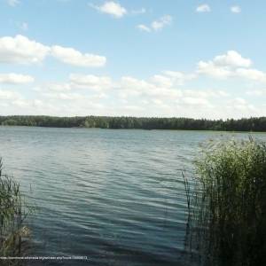 Jezioro Sajno w Augustowie - jezioro sajno