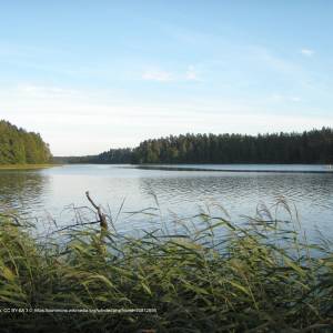 Jezioro Rospuda - rospuda augustowska 01