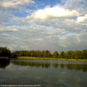 Staw Barbara w Katowicach - giszowiec staw barbara2