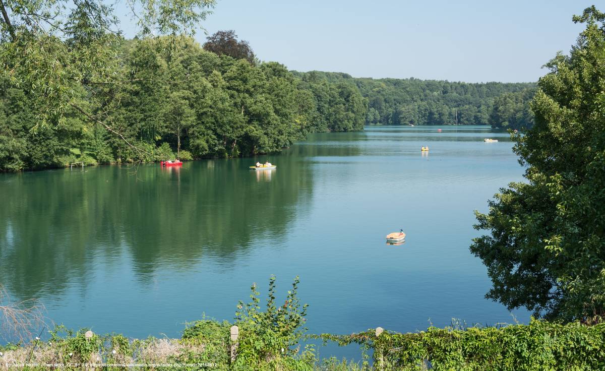 Jezioro Trześniowskie (Ciecz) - jezioro trzesniowskie ciecz 10