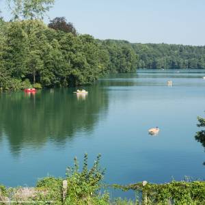 Jezioro Trześniowskie (Ciecz) - jezioro trzesniowskie ciecz 10