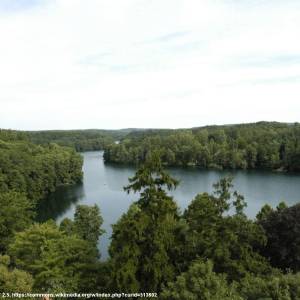 Jezioro Trześniowskie (Ciecz) - jezioro trzesniowskie ciecz 6