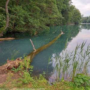 Jezioro Trześniowskie (Ciecz) - jezioro trzesniowskie ciecz 7