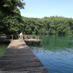 Jezioro Trześniowskie (Ciecz) - jezioro trzesniowskie ciecz 8