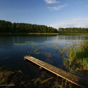 Jezioro Białe Augustowskie - lipowiec augustow poland panoramio