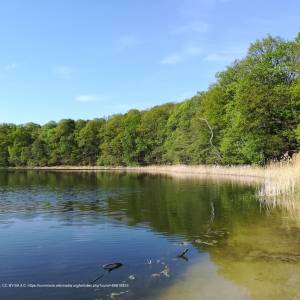 Jezioro Góreckie - goreckie lake 2020 2