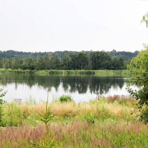 Jezioro Wicko Małe - jezioro wicko male 1
