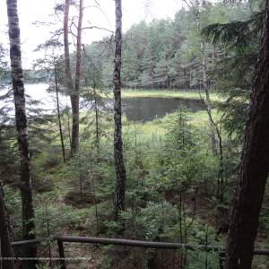 Jezioro Suchar Wielki - jezioro duzy sucharek panoramio 47
