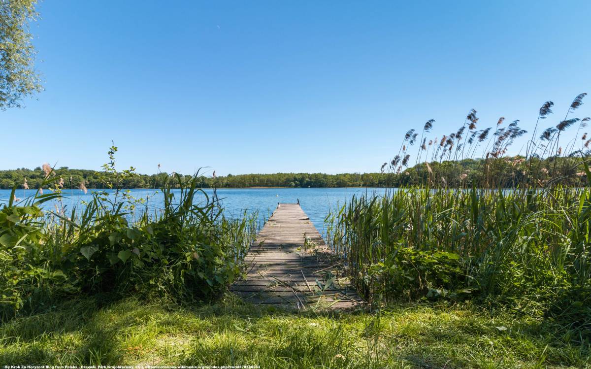 Jezioro Drawsko - jezioro drawsko 9